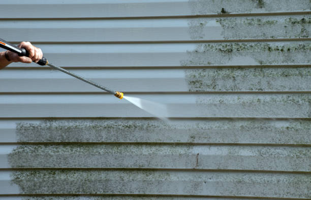 Best Driveway Pressure Washing  in Wood Ridge, NJ